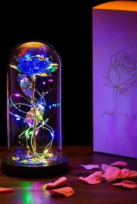 Galaxy Rose Love Lamp
